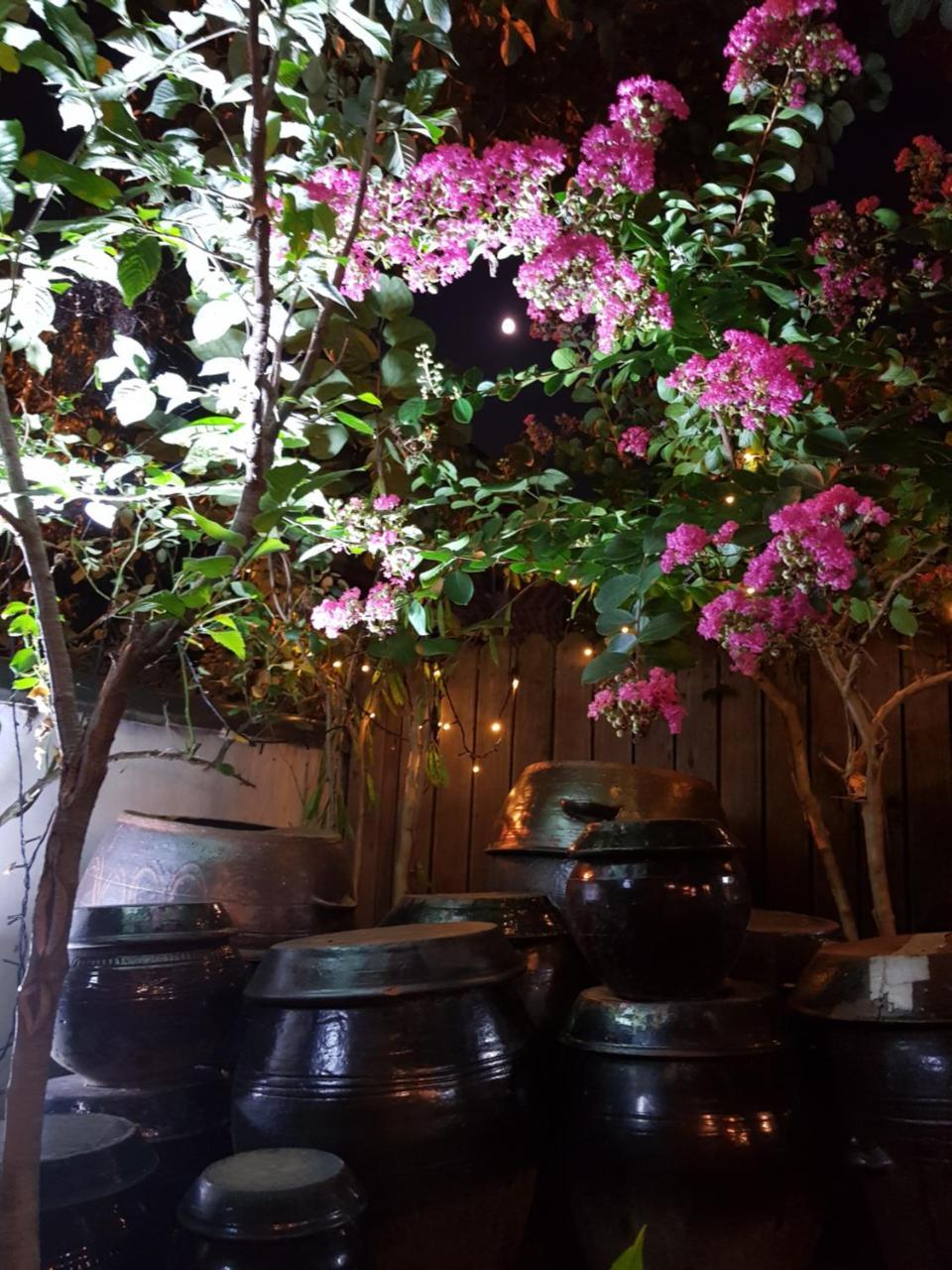 Hanok Story Guesthouse جيونجو المظهر الخارجي الصورة