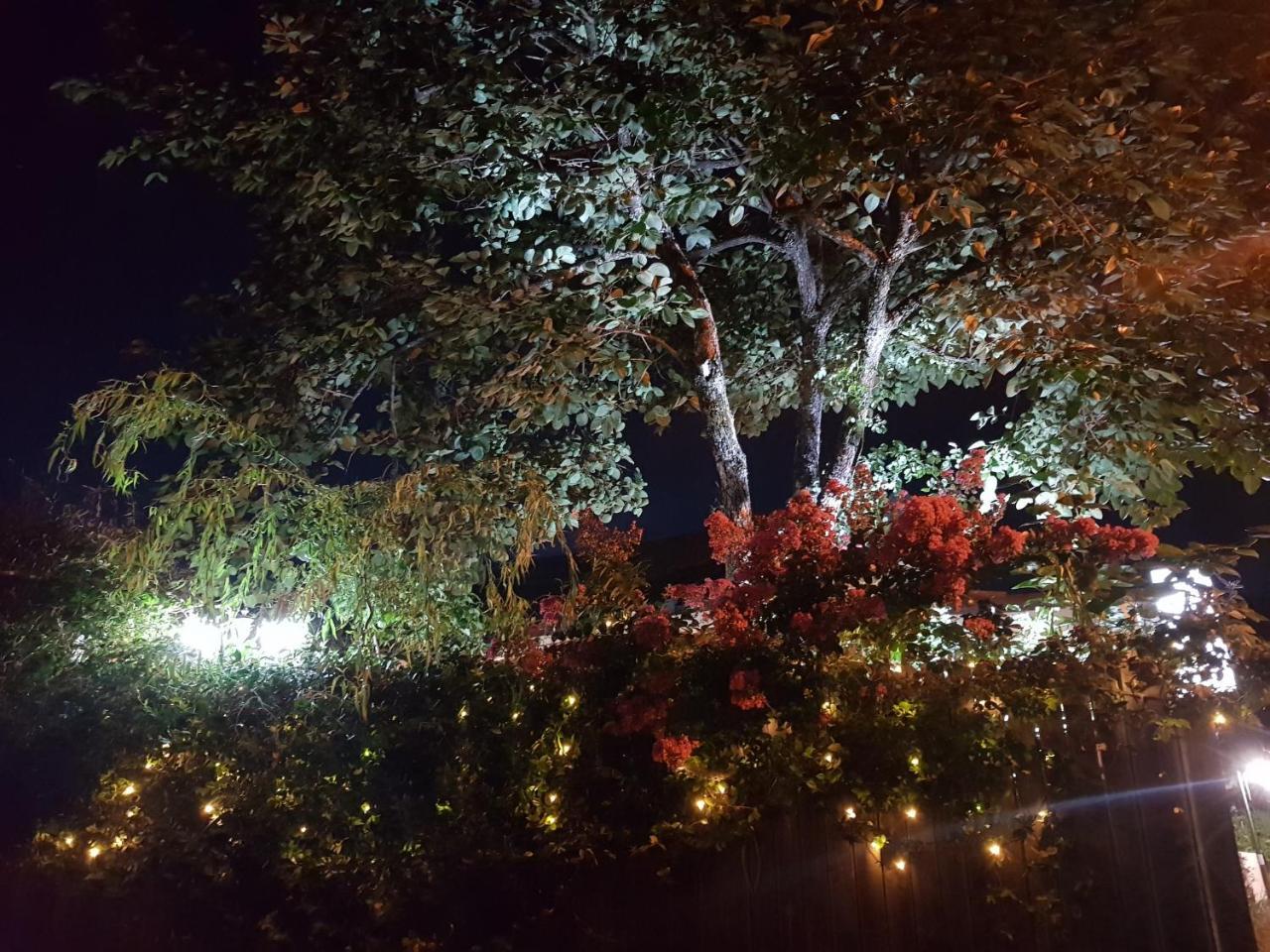 Hanok Story Guesthouse جيونجو المظهر الخارجي الصورة