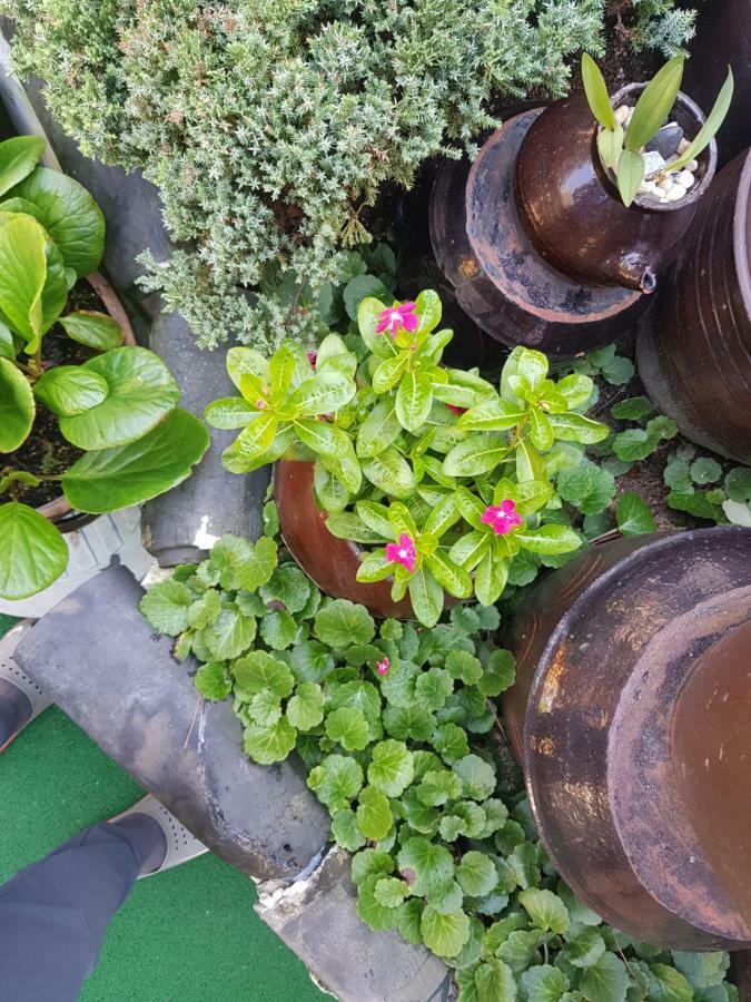 Hanok Story Guesthouse جيونجو المظهر الخارجي الصورة